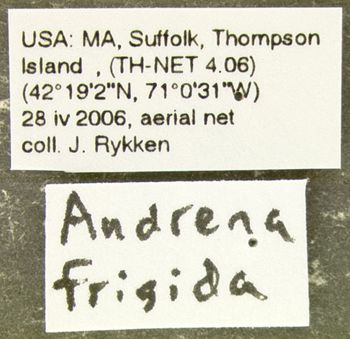 Media type: image;   Entomology 609512 Aspect: labels
